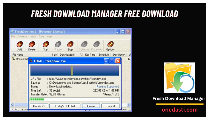 Fresh Download Manager