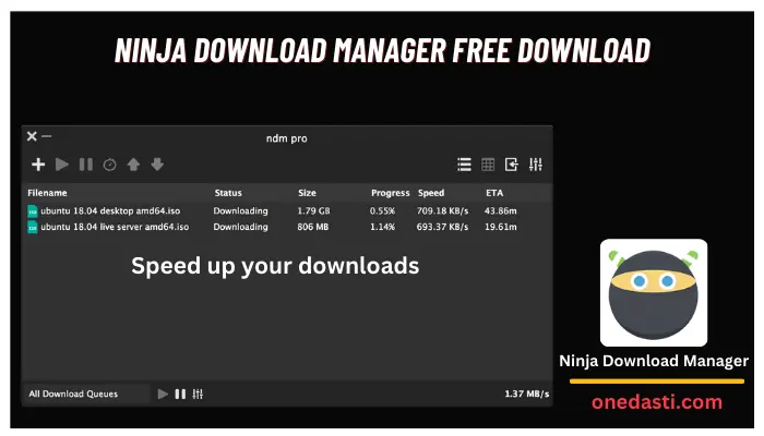 Ninja Download Manager Pro Crack